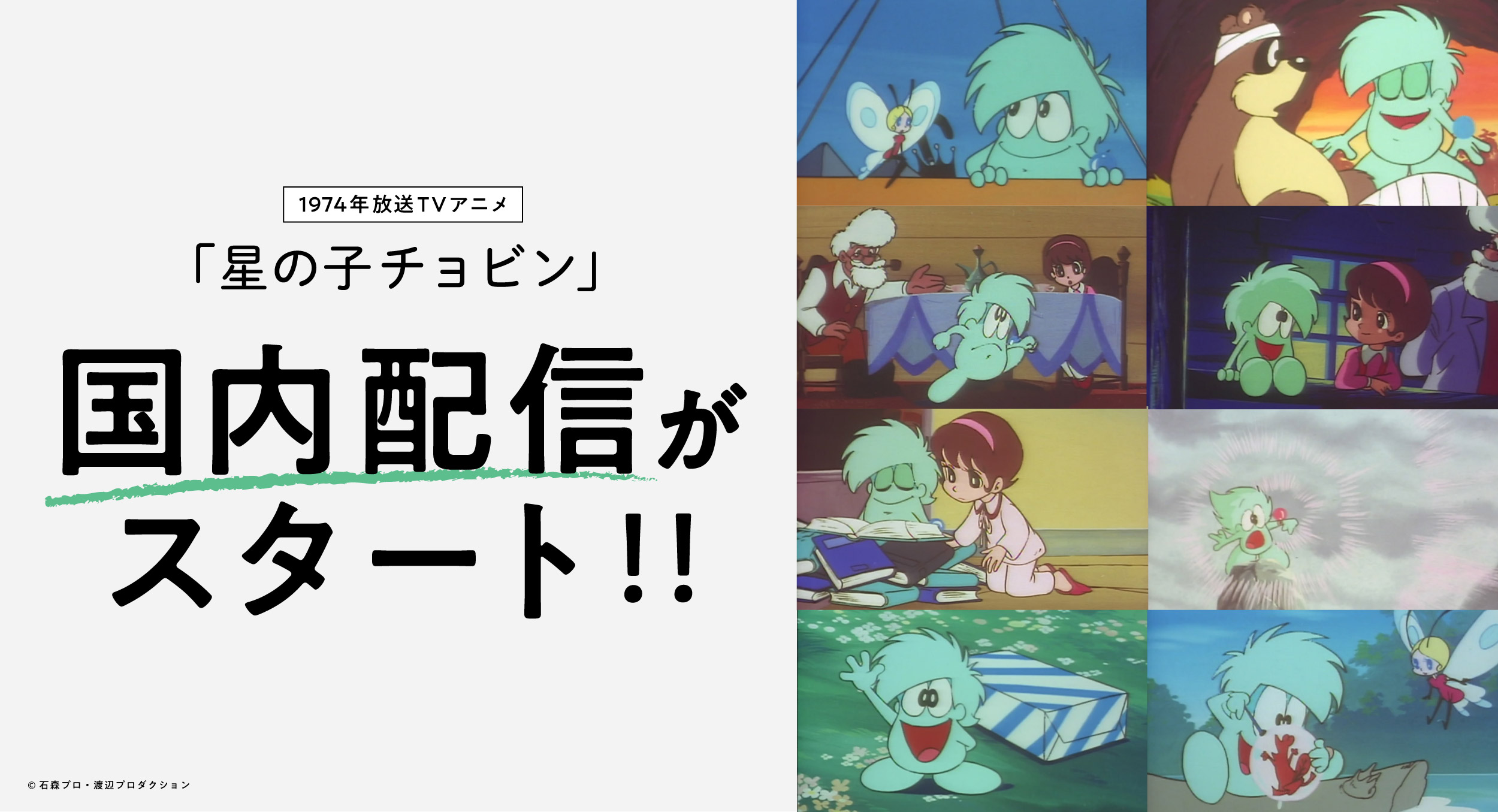 204fefbc514306a8728aa32b112e21